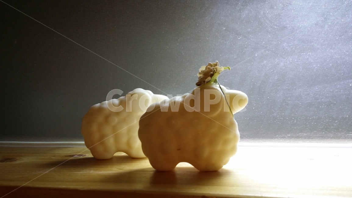 양,조명,장식,그림자,그늘,sheep,사물,물건,오브젝트,thing,object,matter