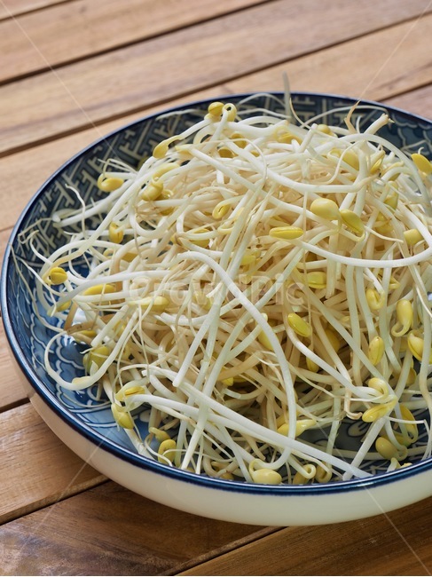 콩나물,나물,음식,음식재료,채소,웰빙,배경,콩,신선한,beansprouts,herbs,food,foodingredients,vegetable,wellbeing,background,bean,fresh,음식,식재료,요리,food,cook,meal,dishes,food reserves
