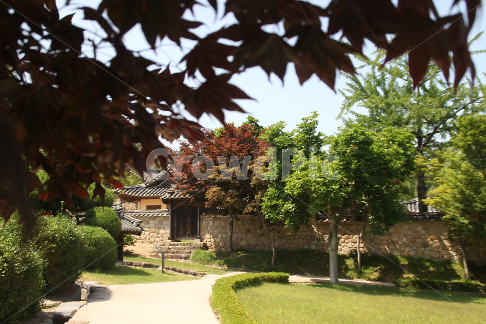 추사고택,추사,고택,한국고택,한국전통가옥,한국전통건축,목조건축,건축,기와,담장,예산,한국,chusaoldhouse,chusa,oldhouse,koreanoldhouse,koreantraditionalhouse,koreantraditionalarchitecture,woodenarchitecture,architecture,rooftile,wall,yesan,korea,한국전통,한국문화,korean traditional,korean culture