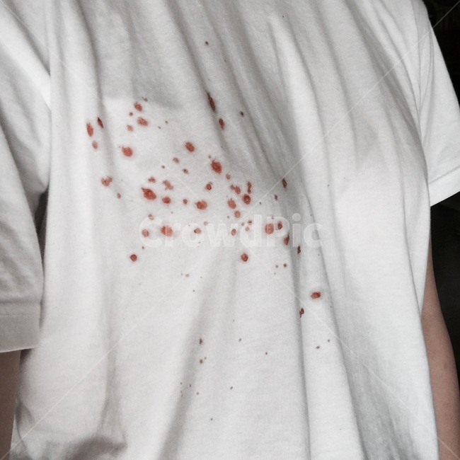 clothing,의류,apparel,의복,sleeve,소매,longsleeve,긴팔,homedecor,가정장식,흰티,토마토,얼룩