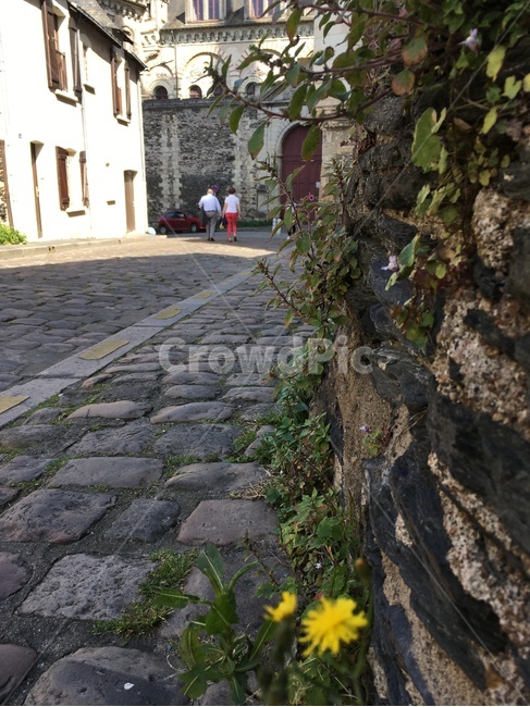 골목길,골목,길,조약돌,집,건축,벽,담장,꽃,식물,앙제,프랑스,alley,road,cobblestone,house,architecture,wall,stonewall,flower,plant,angers,france