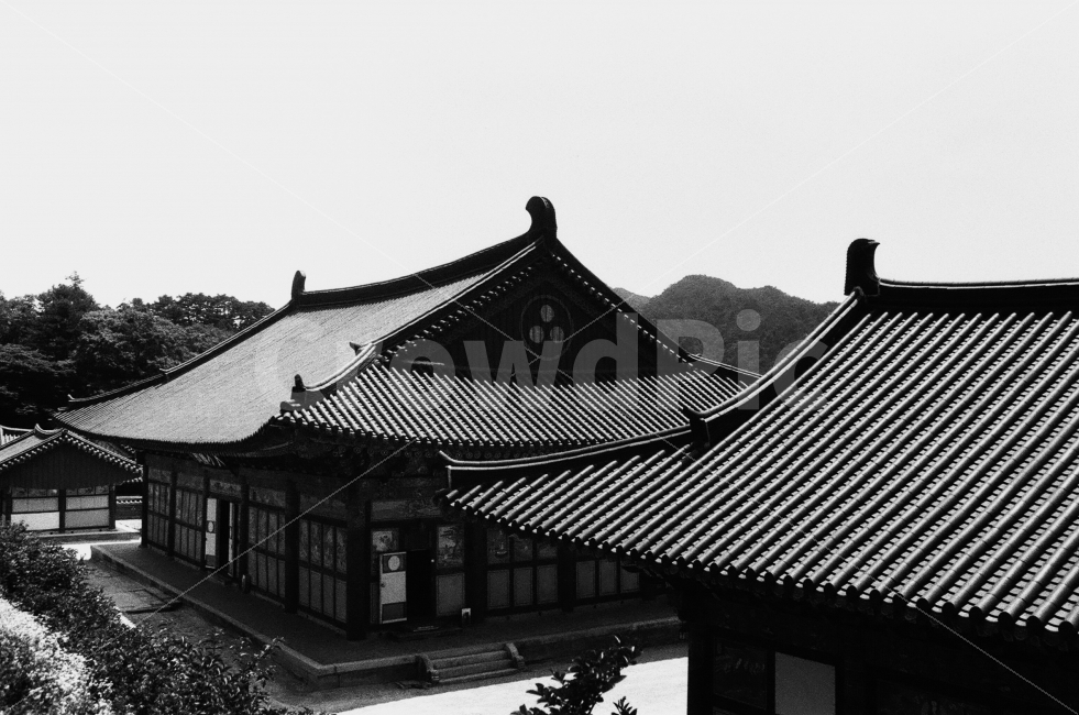 해인사,합천해인사,사찰,절,흑백사진,랜드마크,landmark,tourist attraction,한국전통,한국문화,korean traditional,korean culture,종교,신앙,religion,belief,faith,흑백,모노톤,monochrome,black and white
