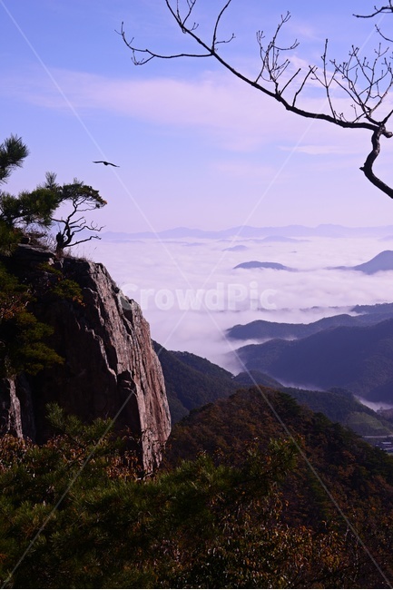 완주,대둔산,대둔산운해,운해,나무,nature,자연,outdoors,옥외,mountainrange,산맥,mountain,산,절벽,한국자연풍경,한국자연경관,korea nature landscape