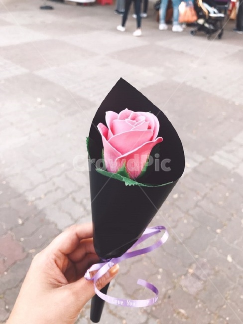 장미,일몰,감성사진,바다,여명,식물,자연,plants,nature,꽃,flower,감성,sensible,feeling,꽃,flower,기념일,축하,anniversary,congratulation,celebrate,celebration