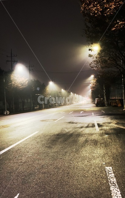 밤거리,가로등,야경,길거리,도로