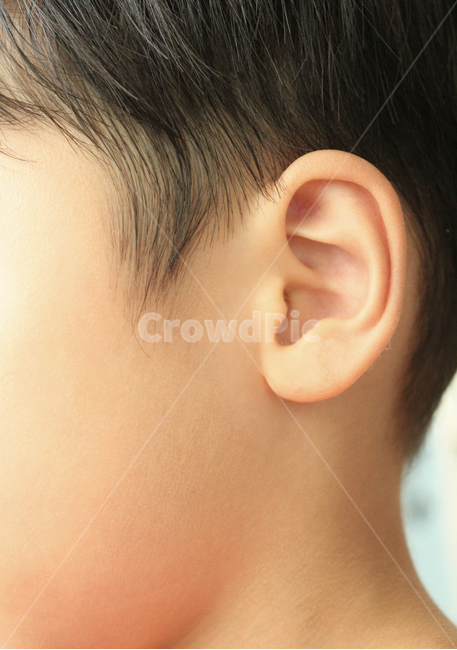 asian,baby,body,boy,child,closeup,ear,hair,head,human,kid,listen,men,people,person,skin,sound,young,동양인,아시아인,어린이,아이,아기,소년,남자아이,남자,신체,몸,클로즈업,얼굴,머리,머리카락,키즈,사람,피부,귀,소리,젊은,듣기,귓바퀴,옆모습,구렛나루,사람,인물,인간,human,person,신체일부,몸,body,어린이,어린아이,child,children,kid