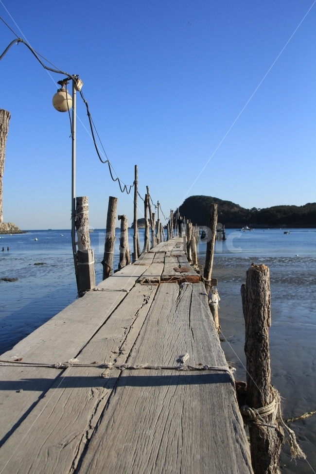 다리,바닷가,선착장,갯벌,나무다리,자연,풍경,nature,landscape,water,물,waterfront,워터 프론트,pier,교각,port,포트