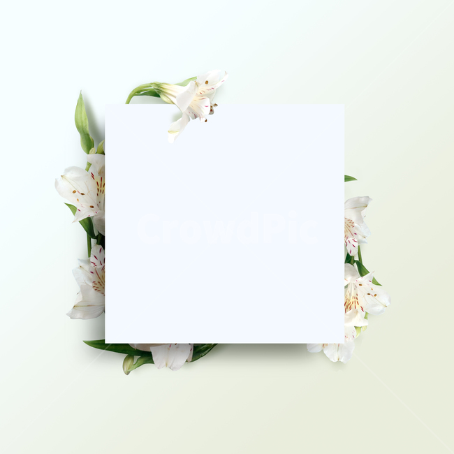 백그라운드,식물,자연,계절,봄,꽃,배경,배경이미지,내추럴,flower,nature,flora,background,꽃잎,프레임