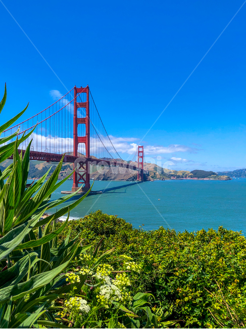 다리,금문교,골든게이트,샌프란시스코,sanfrancisco,goldengatebridge