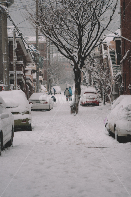 눈,snow,겨울,눈사람,창문,눈길,나무,human,교통,차,car,자동차