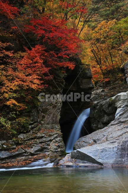 water,물,nature,자연,outdoors,옥외,waterfall,폭포,tree,나무,plant,식물,leaf,잎,stream,흐름,경치,경관,풍경,계곡,가을,만추,추색,강원도,인제,상남,용소폭포,상남용소폭포,상남가을,가을,계절,fall,autumn,season