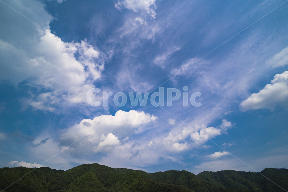 nature,자연,outdoors,푸른하늘,skybackground,구름,weather,grove,숲,자연,풍경,nature,landscape,옥외,azure sky,푸른 하늘,sky,하늘,날씨,cumulus,적운,cloud