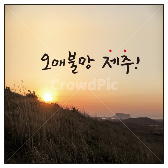 캘리그라피,글자,오매불망,제주,손글씨,붓글씨,펜글씨,서예,먹,먹물,텍스트,문자,글씨,글귀,제주도,성산일출봉,오름,한글,일출,가을,갈대,한국어,캘리,그래픽,일러스트레이션,jeju,illustration,calligraphy,제주도,jeju,jeju island,캘리그라피,손글씨,calligraphy,nature,자연,outdoors,옥외,sky,하늘