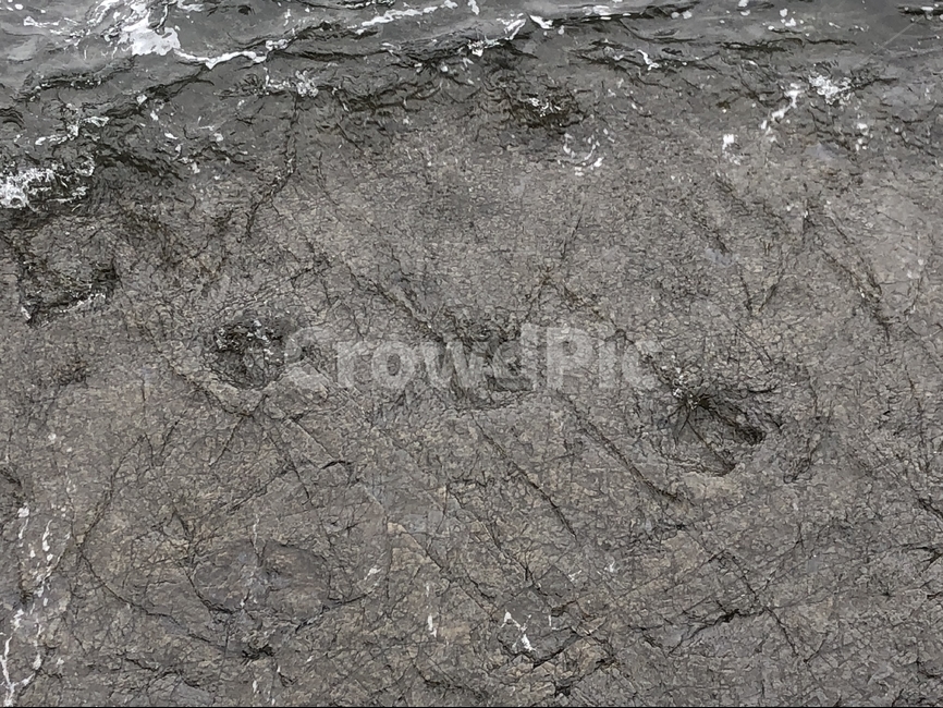 한국,고성,공룡,상족암,자연,자연,풍경,nature,landscape,한국자연풍경,한국자연경관,korea nature landscape,ground,바닥,soil,흙