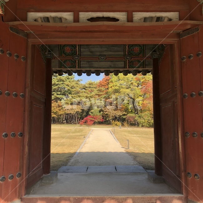 창덕궁,경복궁,기와,자연,나무,단풍,가을,풍경,한국전통,한옥집,한옥,낙엽,배경화면,배경,배경이미지,풍경사진,감성사진,풍경이미지,백그라운드,숲,녹색,자연풍경,한국전통한옥,한옥이미지,한옥배경,한옥자연,자연과한옥,fall,healing,sentinental,sunset,autume