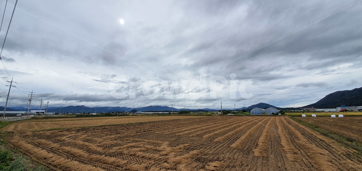 하늘,구름,풍경,landscape,cloudscape,blue,sunlight,clear,cumulus,color,sky,day,weather,white,beauty,fluffy,space,cloudy,climate,summer,seasonal,background,light,sunny,season,high,beautiful,cloud,scenic,sunshine,heaven,abstract,nature,자연,land,땅,outdoors,옥외,soil,흙,ground,바닥,자연,풍경,nature,landscape