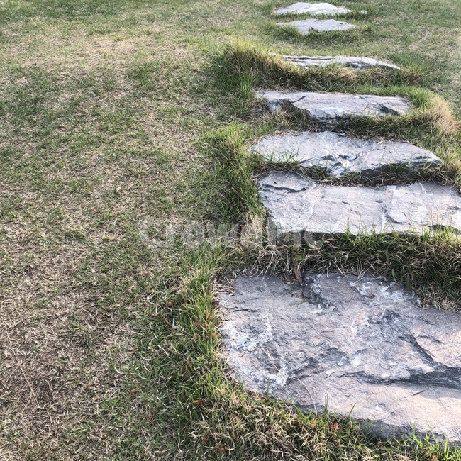 돌담길,잔디,친환경,돌,길