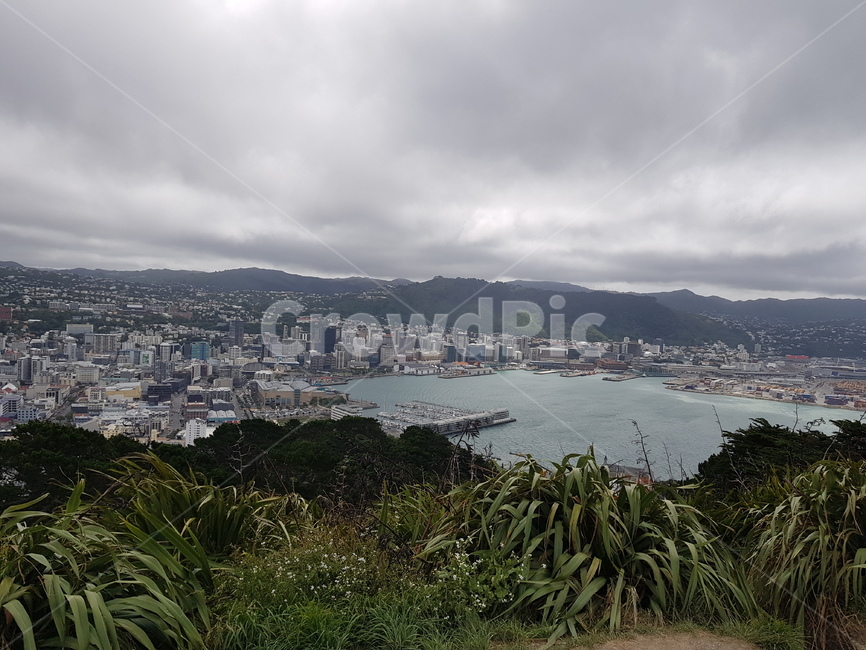 landscape,경치,자연,nature,scenery,풍경,aerialview
