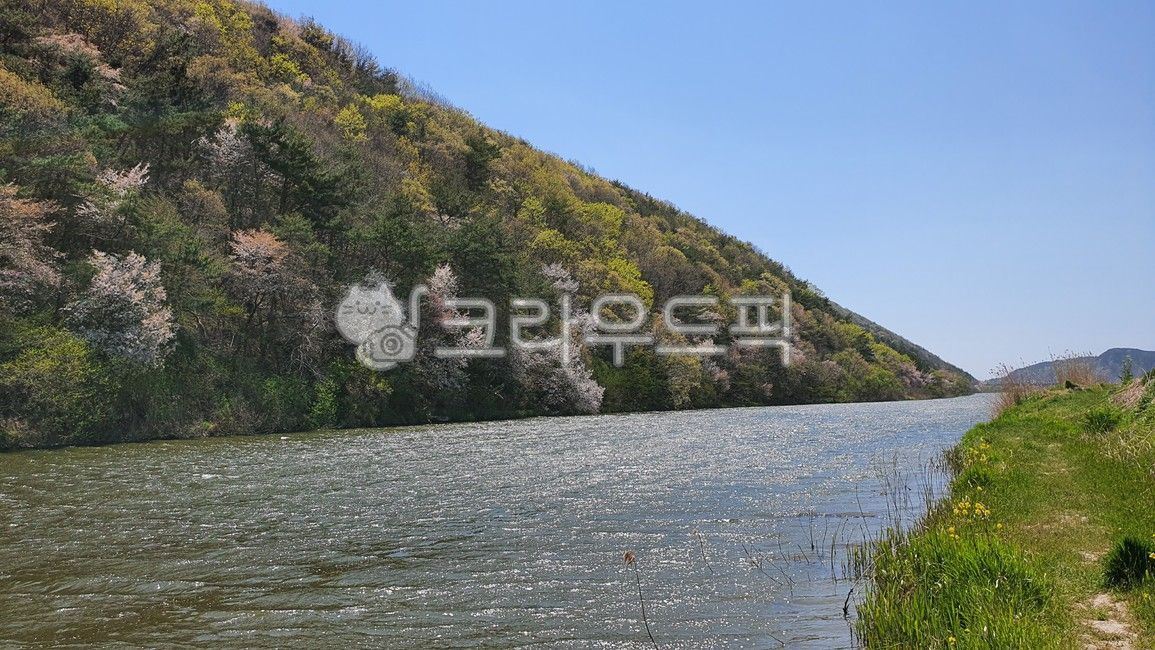 spring,path,sunlight,waterside,nature,Stream,riverside,river,wave,mountain cherry blossoms,flower