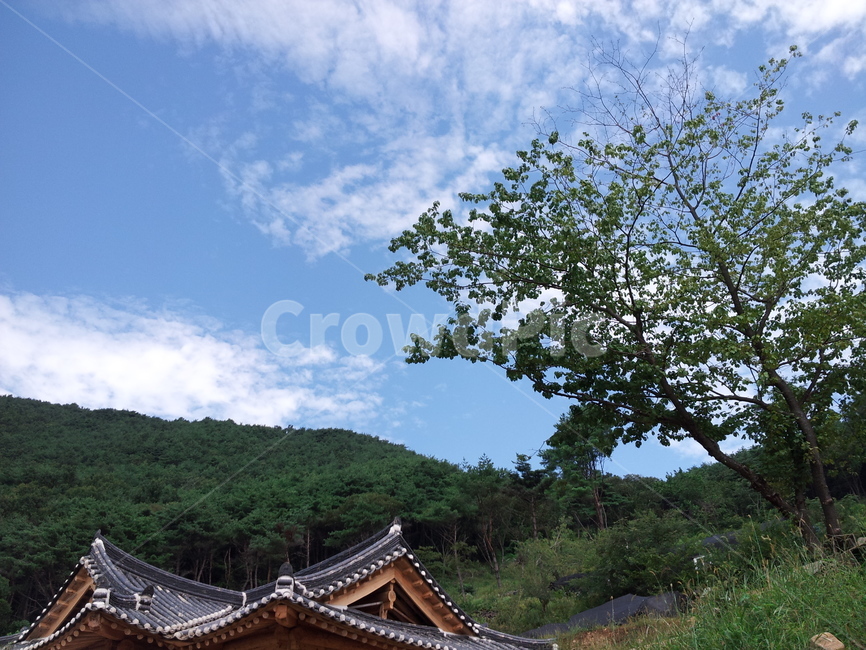 하늘,구름,나무,햇살,청명,푸른,초록,절,기와,처마
