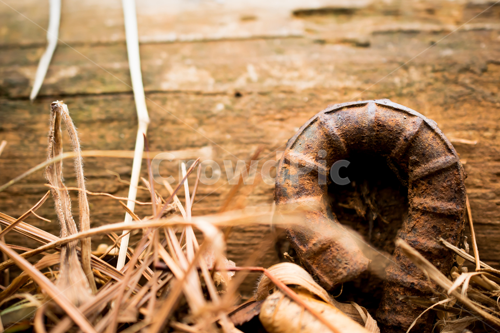 사물,자연,배경,빈티지,마크로,물건,나무,nature,wood,object,background,vintage,macro,빈티지사진,빈티지느낌,빈티지감성,vintage,사물,물건,오브젝트,thing,object,matter