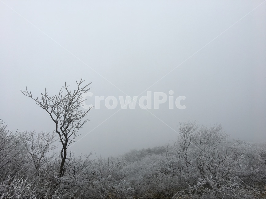 한라산,제주도,겨울,산,등산,겨울,계절,winter,season,자연,풍경,nature,landscape,한국자연풍경,한국자연경관,korea nature landscape,outdoors,옥외,weather,날씨