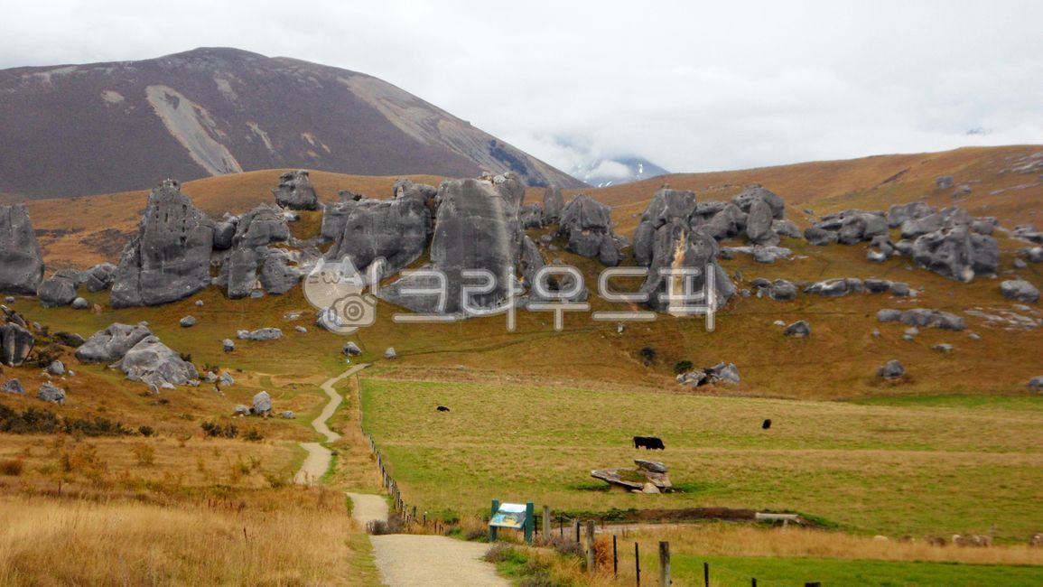 뉴질랜드,자연풍경,배경,잔디,산,바위,언덕,자연,경치,목초지,목장,옥외,들,황야,고원,양,눈,농장,골짜기,산맥,산책로,도로,산악지형,풍경,방목,소,남섬,해외,외국,세계,세계자연풍경,해외자연풍경,외국자연풍경,캐슬힐,newzealand,naturelandscape,background,grass,mountain,rocks,hill,nature,grassland,pasture,outdoors,field,wilderness,plateau,sheep,snow,farm,valley,mountainrange,trails,road,mountainouslandforms,landscape,grazing,cattle,southisland,overseas,foreign,world,worldnaturallandscape,overseasnaturallandscape,foreignnaturallandscape,castlehill