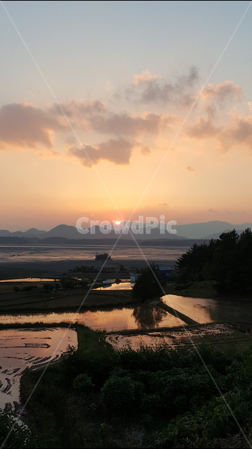 저녁,석양,일몰,바다,논,풍경,저녁하늘,구름,해지는들녁,자연,풍경,nature,landscape,land,땅,outdoors,옥외