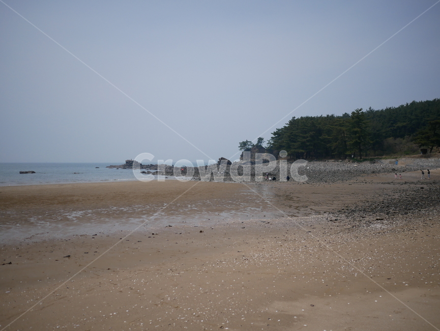 바다,해변,갯벌,foreshore,sea,beach,해변,바다,beach,sea