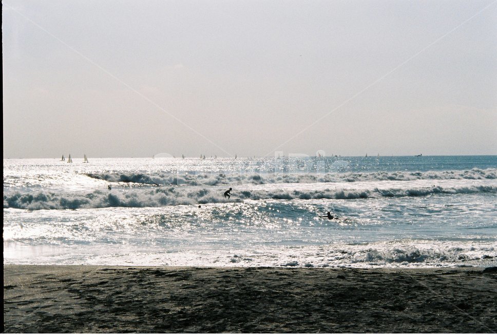 일본,가마쿠라,카마쿠라,바다,파도,자연,필름,sea,ocean,대양,nature,water,물,outdoors,옥외,sea waves