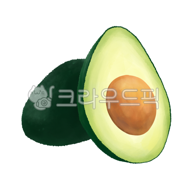 아보카도,과일,음식,avocado,fruit,food