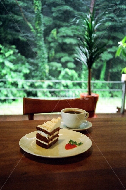 당근케익,케익,커피,커피숍,자리,테이블,필름,음식,식재료,요리,food,cook,meal,dishes,food reserves,디저트,간식,후식,dessert,snack,커피,카페,coffee,cafe,감성,sensible,feeling