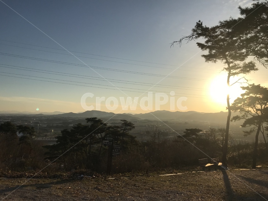 노을,색조합,나무가가린해,풍경,숲,자연,풍경,nature,landscape,light,빛,flare,플레어,sunlight,햇빛