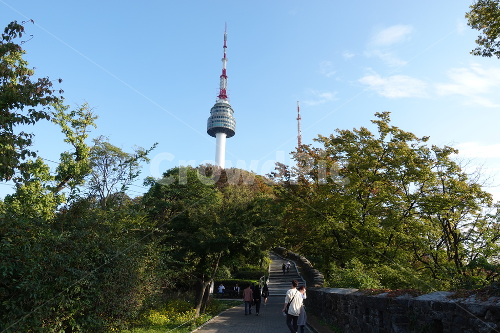 tower,건축물,랜드마크,남산타워,풍경,건물