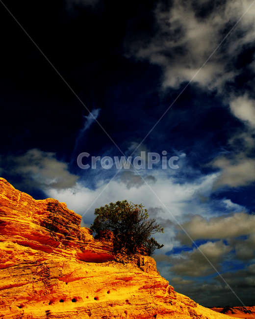 사막,생명,피나클스,유명한,하늘,구름,블루,투어,미라클,pinnacles,desert,bluesky,자연,풍경,nature,landscape,해외,외국,세계,foreign,oversea,world,세계자연풍경,해외자연풍경,외국자연풍경,world nature landscape,outdoors,옥외