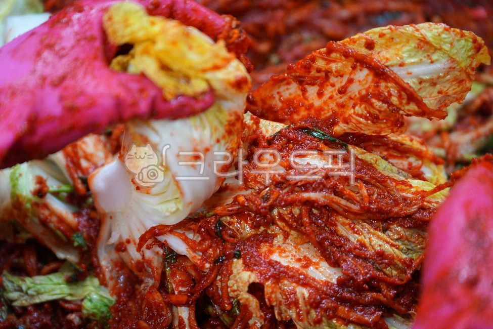 김장재료,김치재료,음식,한국음식,김장,배추,김장배추,고무장갑