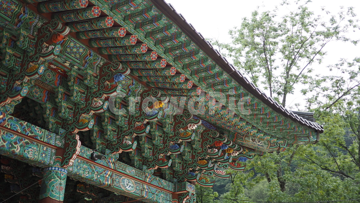 전통적인,패턴,단청문양,절,처마