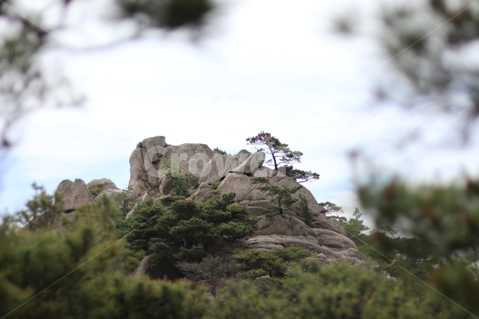 용봉산,하늘,구름,바위,봄,초록,자연,풍경,nature,landscape,한국자연풍경,한국자연경관,korea nature landscape,outdoors,옥외,cliff,낭떠러지