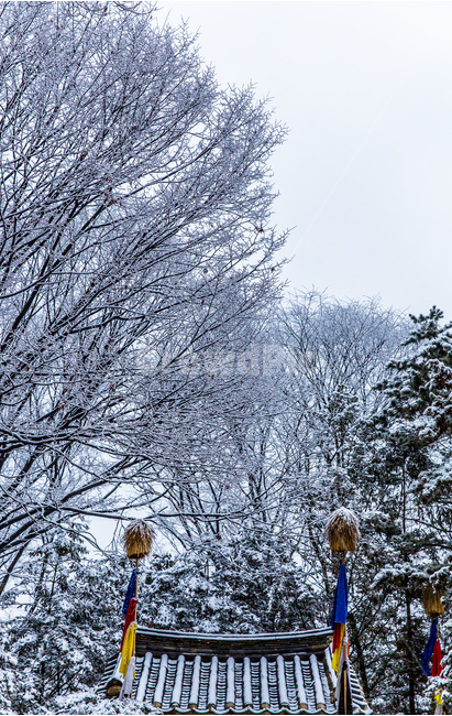 설경,기와,사당,문양,무늬,패턴,겨울,계절,winter,season,한국전통,한국문화,korean traditional,korean culture,건축물,건물외관,exterior,building,structure,architecture,construction