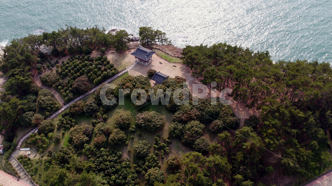 동백,동백정,동백꽃,꽃,자연,풍경,바다,flower,nature,landscape,sea,경치
