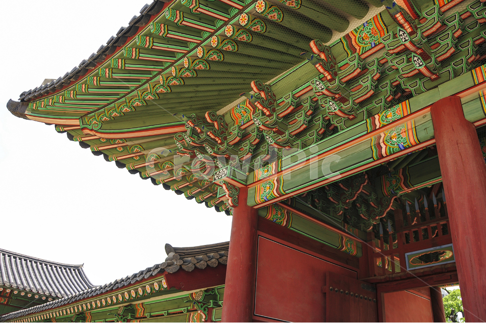 palace,blue sky,Palace,tourism,Tangible cultural property,Five colors,seoul,secret garden,Cultural Heritage,Hanok,Changdeokgung Palace,Dancheong,walk,Korean cultural property