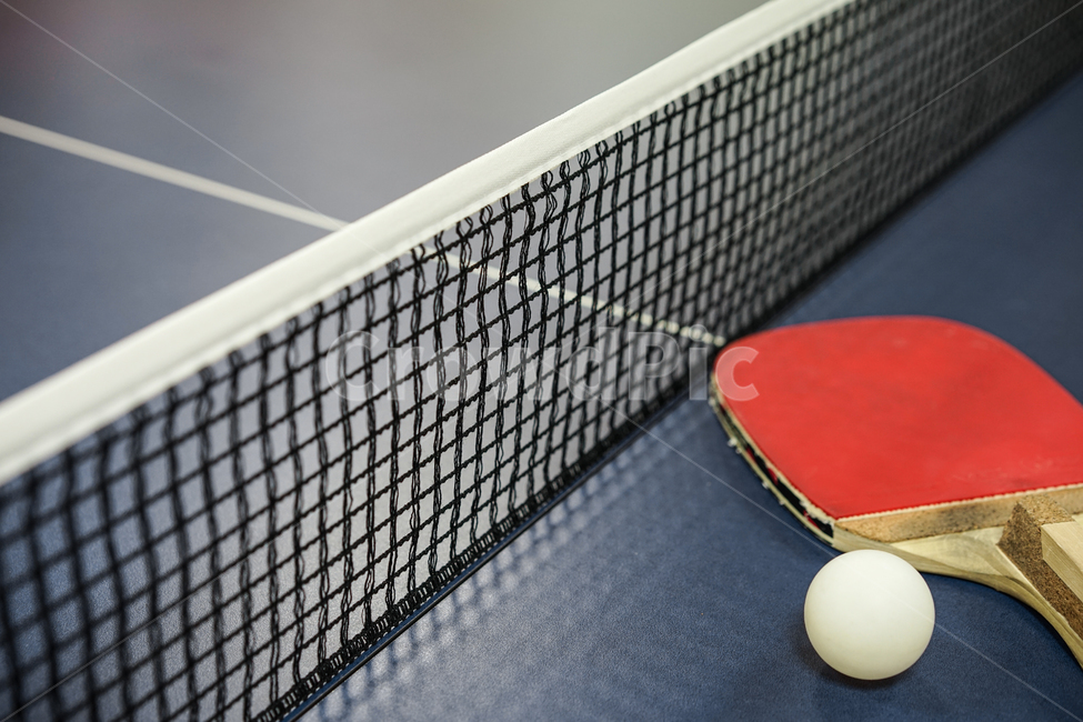 탁구,구기종목,스포츠,탁구대,tabletennis,탁구라켓,스포츠,레저,운동,sports,leisure,exercise,사물,물건,오브젝트,thing,object,matter