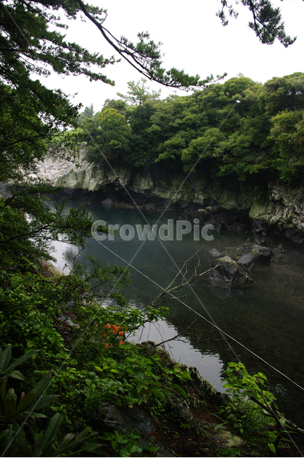 제주,쇠소깍,풍경,하천,나무,식물,자연,풍경,nature,landscape,한국자연풍경,한국자연경관,korea nature landscape,제주도,jeju,jeju island,water,물,outdoors,옥외,land,땅