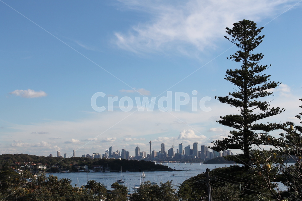경치,landscape,scenery,풍경,시드니,sydney,sky,bluesky,하늘,푸른하늘,파란하늘,나무,tree
