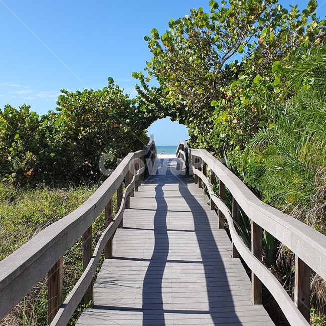 boardwalk,산책로,building,건물,bridge,다리,handrail,banister,railing,난간,summer,여름