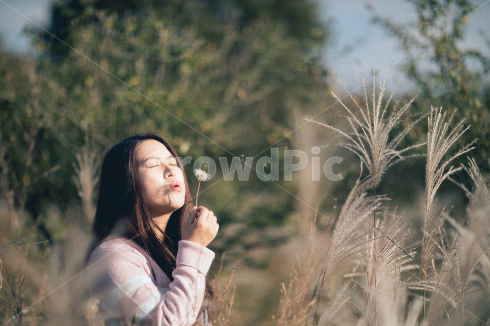 가을,grass,잔디,인간,사람,식물,여자,민들레,dandelion,억새,silvergrass,fall,autumn,person,human,plant,woman,가을,계절,fall,autumn,season,사람,인물,인간,human,person,여성,여자,woman,female,lady