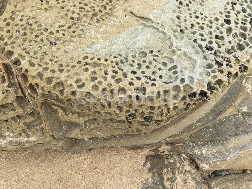 바닷물,바다,해조류,물,호주,자연,풍경,nature,landscape