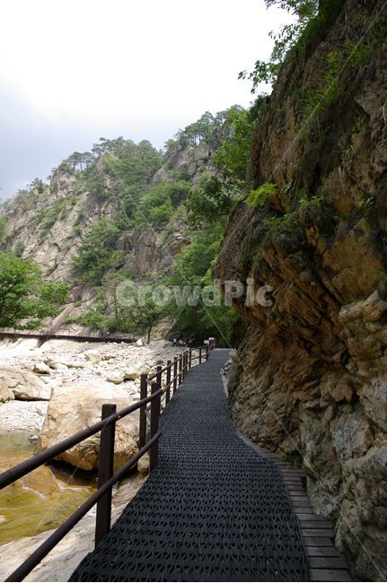 산,계곡,바위,암석,풍경,나무,설악산,길,자연,풍경,nature,landscape,outdoors,옥외,cliff,낭떠러지,promontory,곶