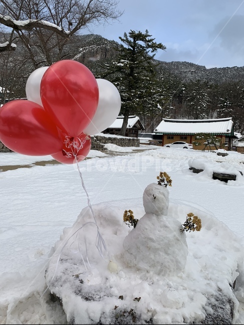 자연,nature,눈,눈사람,겨울,겨울,계절,winter,season