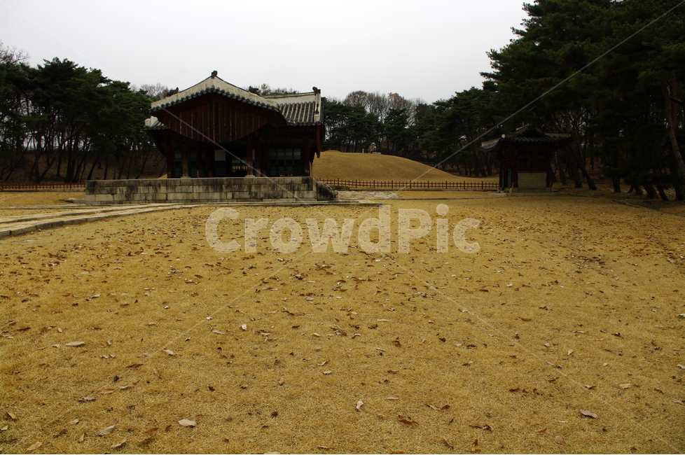 왕릉,전각,조선,한국,전통,문화유산,릉,한국전통,한국문화,korean traditional,korean culture,랜드마크,landmark,tourist attraction,한국랜드마크,한국관광지,한국명소,korea landmark,korea tourist attraction